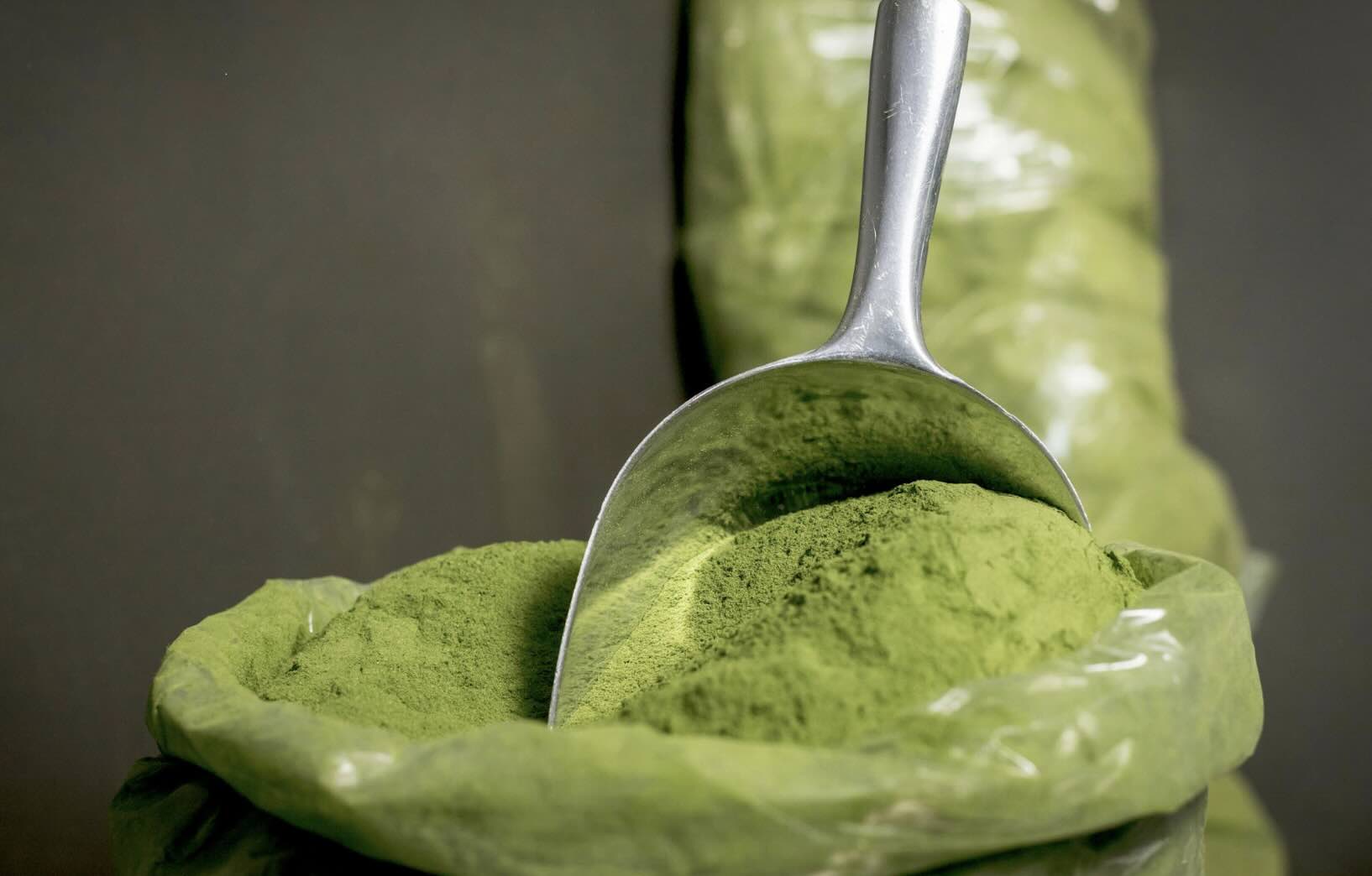 Moringa